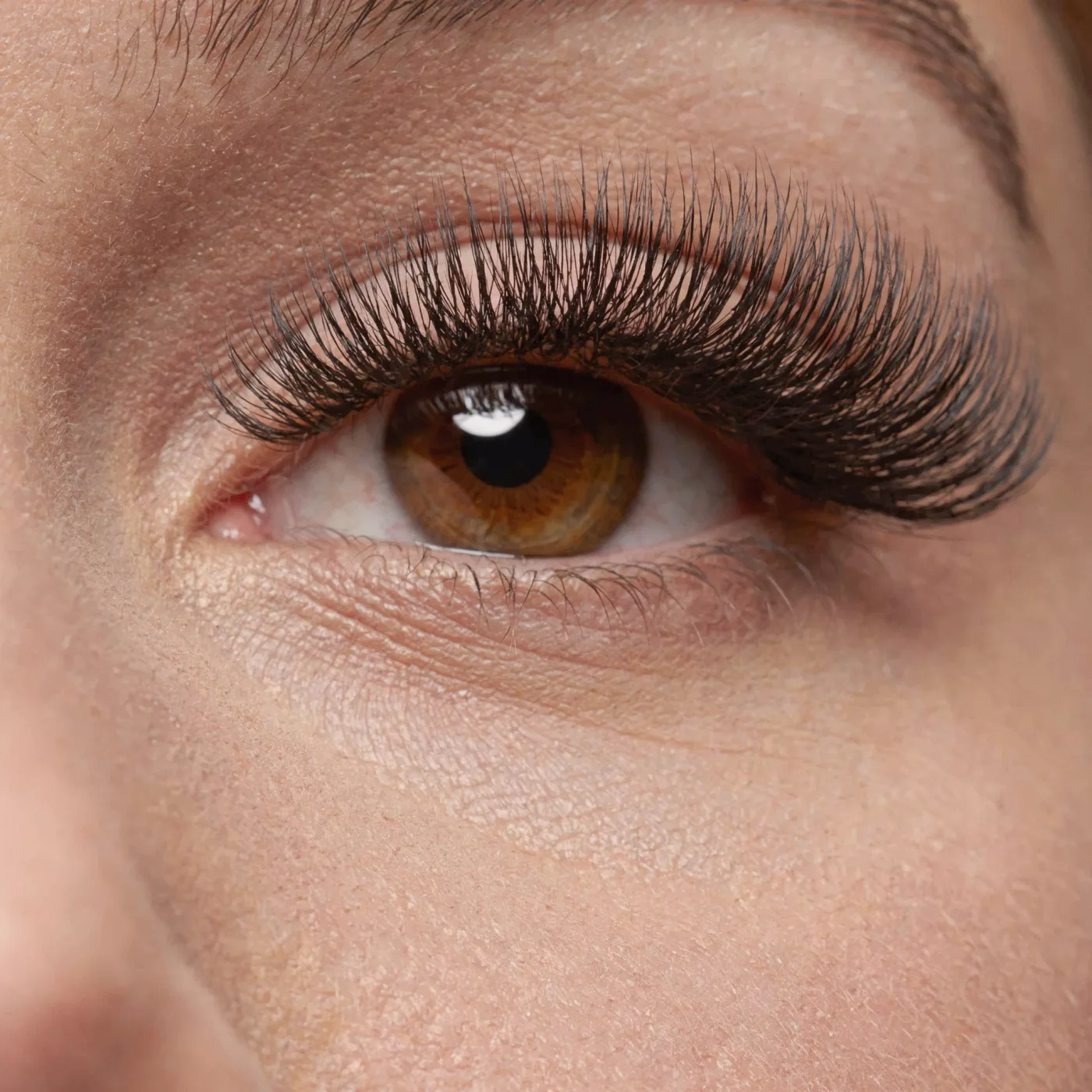 Makro detal rzęs